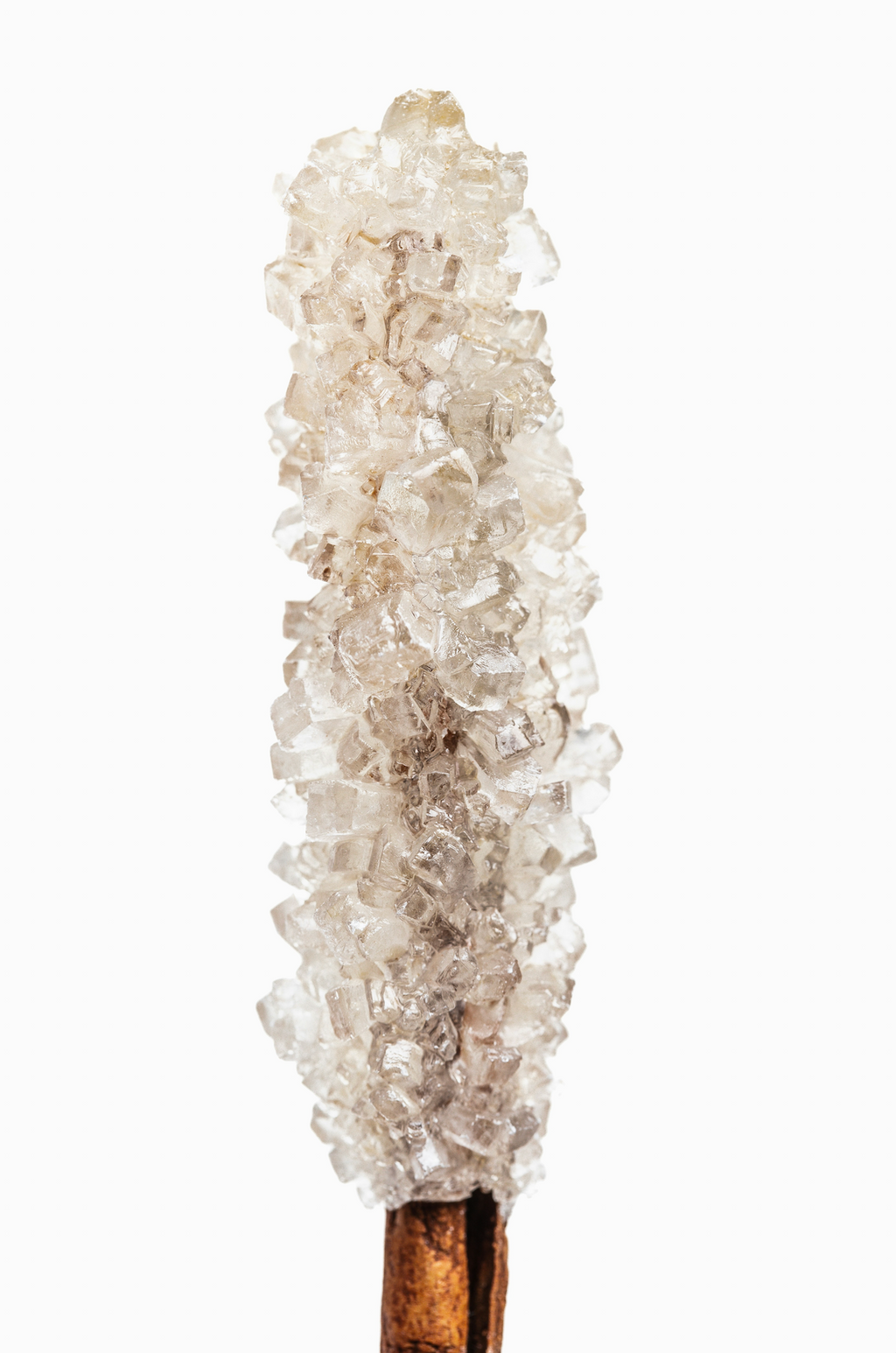 Beautiful Vanilla Sugar 100 ml Eau de Toilette