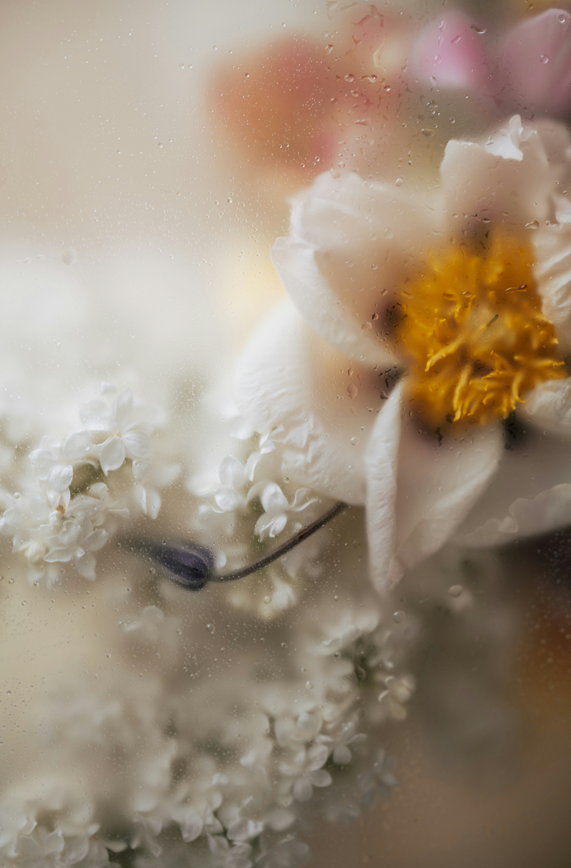 Refreshing Floral Mist 50 ml Perfume Oil Dropper