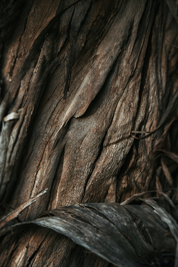 Beautiful Vanilla Sandalwood 32 oz 2-In-1