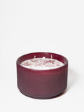 Signature Cranberry Evergreen 24 oz scented candle