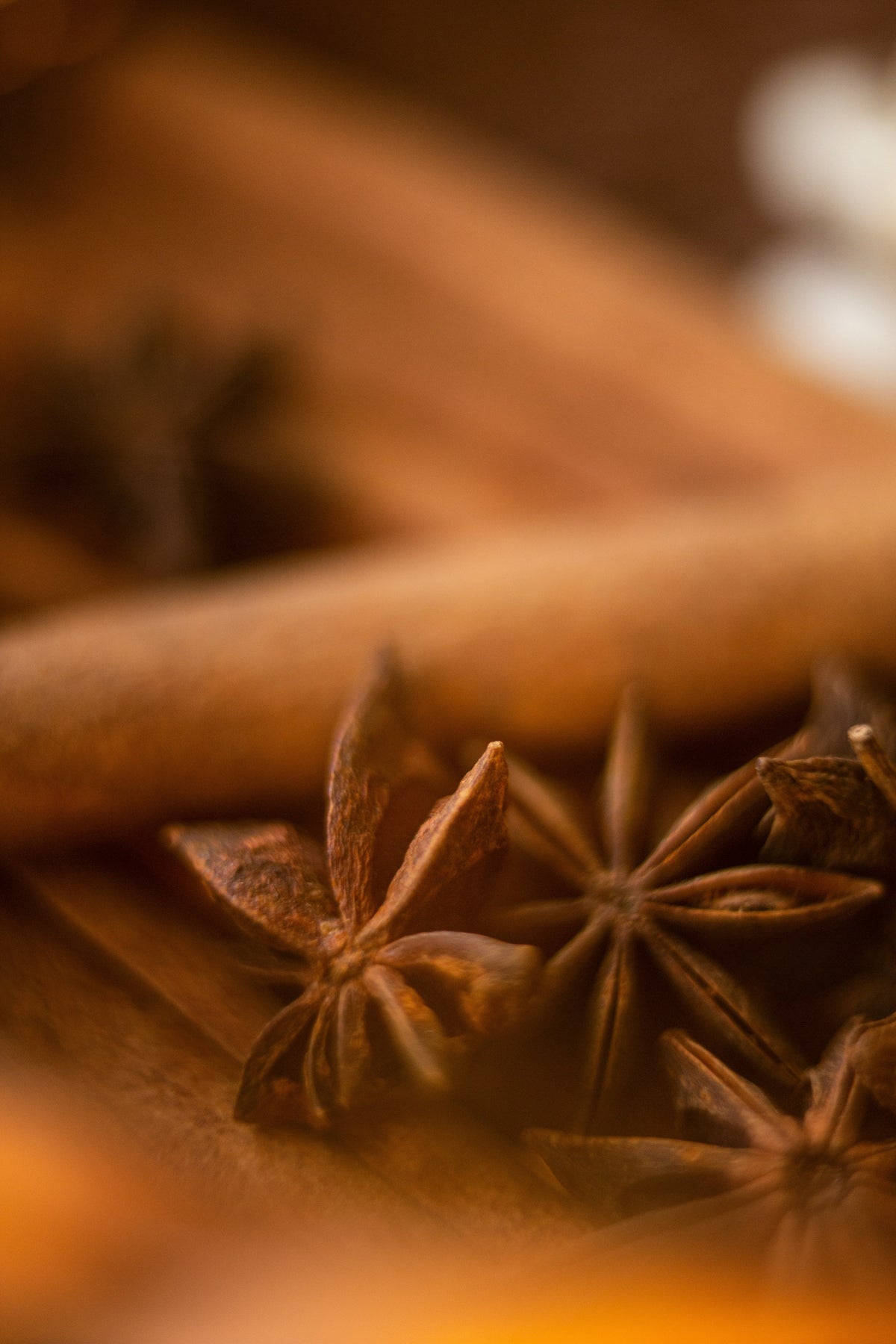 Luxurious Cinnamon Reserve 50 ml Perfume Oil Dropper